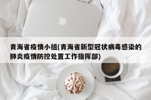 青海省疫情小组(青海省新型冠状病毒感染的肺炎疫情防控处置工作指挥部)