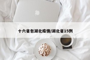 十六省包湖北疫情/湖北省15例