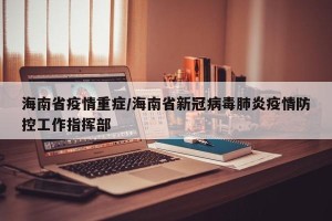 海南省疫情重症/海南省新冠病毒肺炎疫情防控工作指挥部